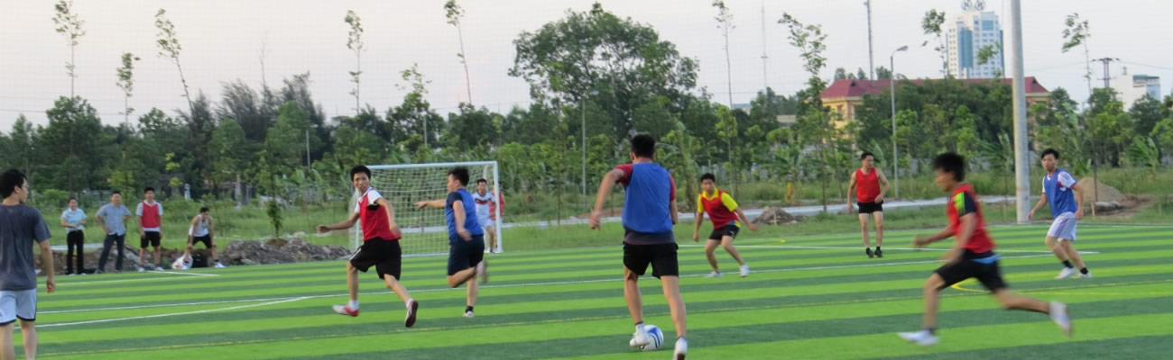 Thi công sân cỏ nhân tạo TP Vinh